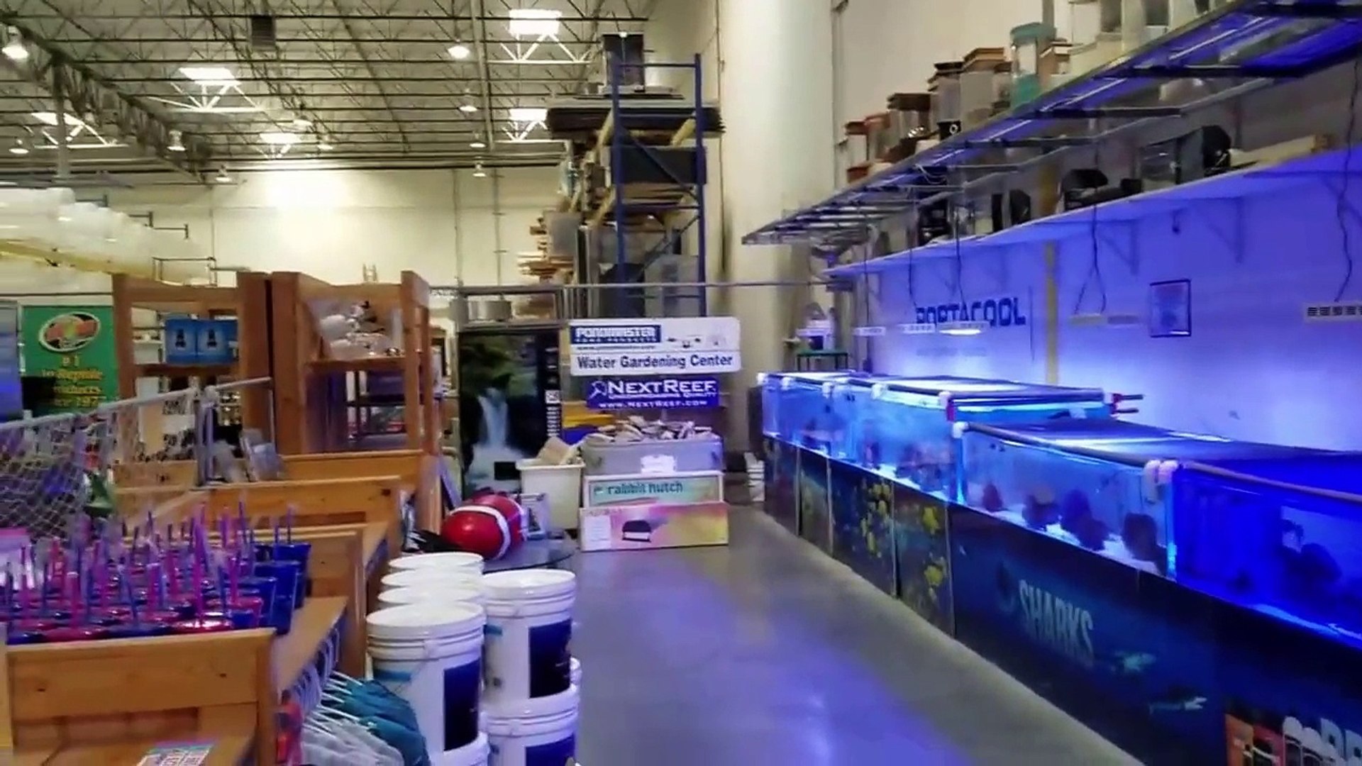 ⁣Animal Planets TANKED Shop in Las Vegas