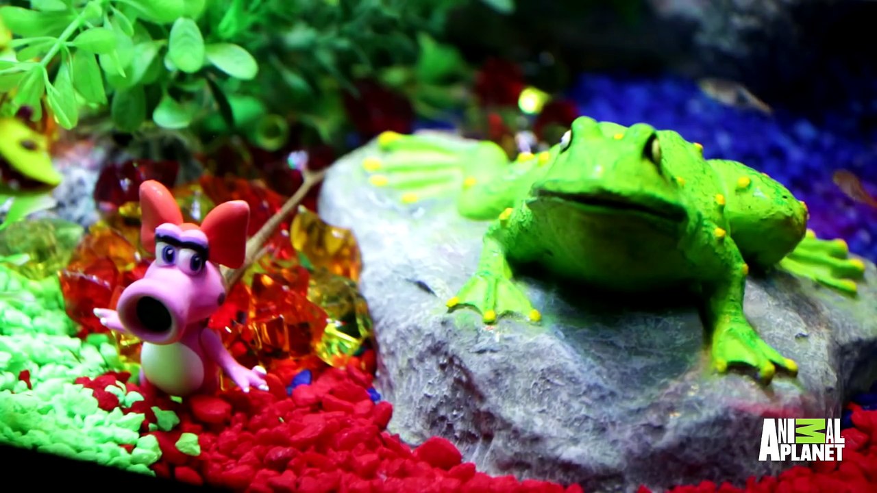 Check Out This Sweet Video Arcade Fish Tank! Tanked