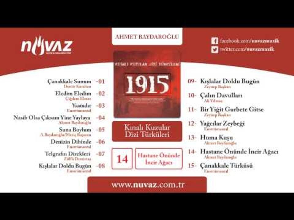 Ahmet Baydaroğlu - Hastane Önünde İncir Ağacı