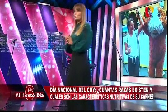 El día nacional del cuy: ¿Qué beneficios ofrece para su consumo y crianza?