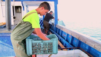 "داعش" البحر من عبء على الصيادين الى ثروة تونسية