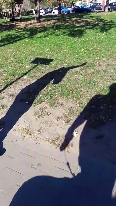 Bruxelles-Ville: fan de Mampaka en flagrant délit de racolage