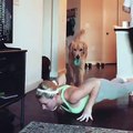 Ovo razumiju samo oni koji imaju psa ❤❤❤Video: instagram.com/likeagirl__fitness, likeagirlfitness.com