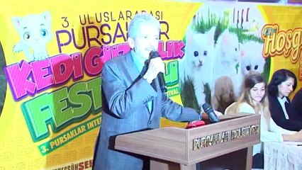 Kediler güzellik yarışmasında birinci olmak için yarıştı