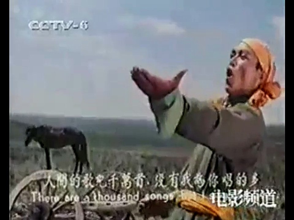 金鹰A