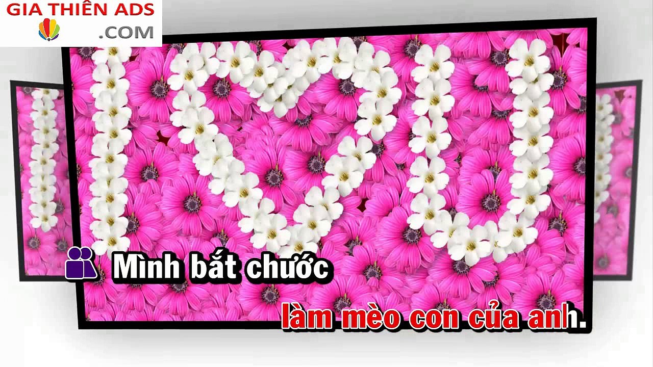 Karaoke Học Mèo Kêu