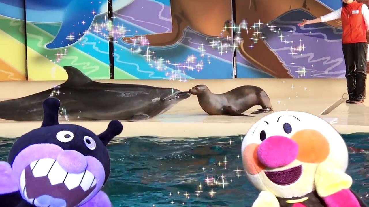 アンパンマンとバイキンマンが水族館でおおはしゃぎ① イルカ、ペンギン、ニモ、お魚、サメ、白イルカ、アシカ、あざらしを発見！❤︎おもちゃアニメ