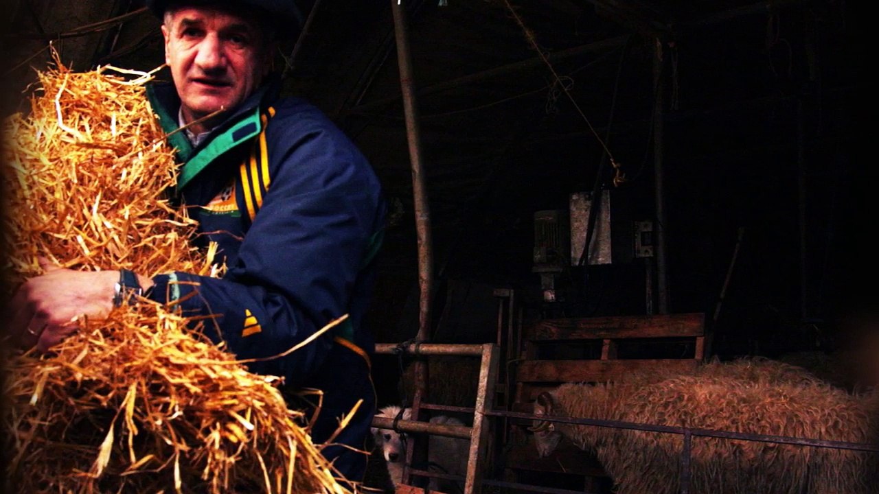 Ours : la cinglante lettre de Jean Lassalle au préfet des Pyrénées-Atlantiques