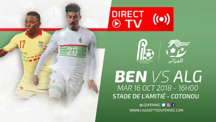 Bénin-Algérie : Etat de la pelouse au Stade de l'amitié