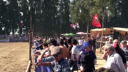 Muğla'da Boğa Güreşi Festivali yapıldı