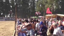 Muğla'da Boğa Güreşi Festivali Yapıldı