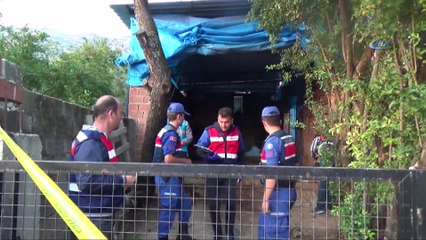 Aydın’da deve dehşet saçtı