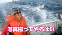 名古屋の海で変な名前の魚が釣れた⁉