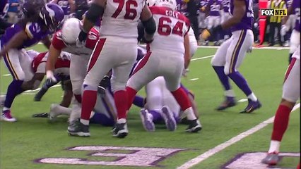 Tom Johnson recovers David Johnson's fumble