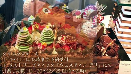 ウェスティンホテルのケーキを食べる！【スイーツちゃんねるあんみつ】