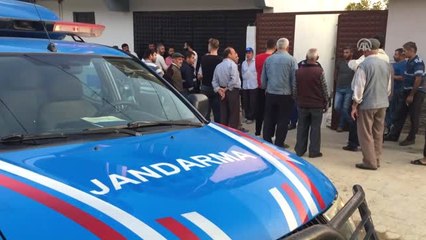 Aydın'da Devenin Saldırısına Uğrayan Kişi Öldü