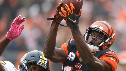 A.J. Green flies through the air for diving grab