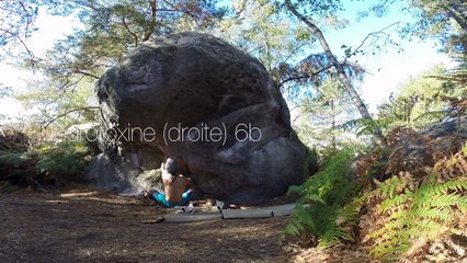 Bleau - Apremont - Oct 2018