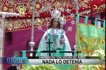 Áncash: Toro escapa de ruedo y hiere a dos personas