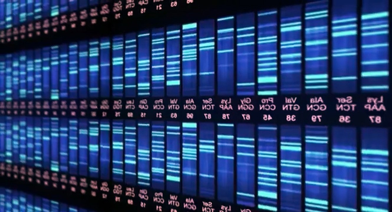 Finding Your Roots with Henry Louis Gates Jr S04 - Ep07 Children Of The Revolution -. Part 02 HD Watch