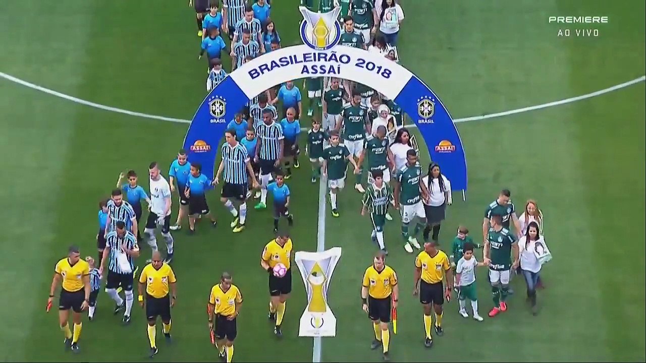 Palmeiras 2 x 0 Grêmio (HD) Melhores Momentos e Gols - Brasileirão (14 10 2018)