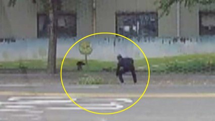 [좋은뉴스] 도로에 떨어진 나뭇가지 치워 준 시민 / YTN