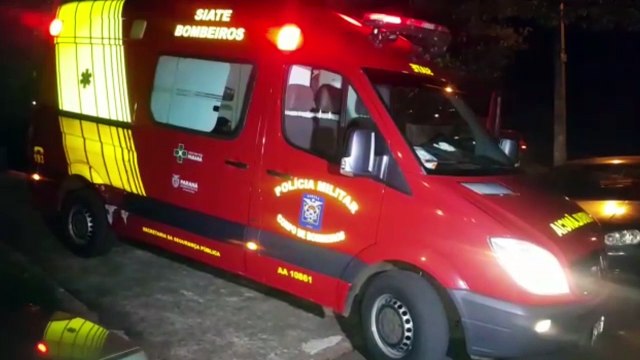 Homem fica ferido ao cair de árvore