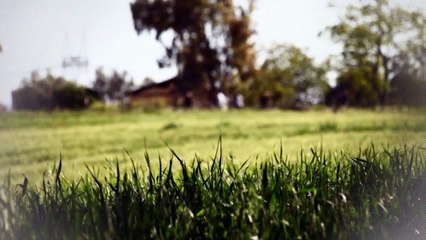 A vendre - Appartement - TASSIN LA DEMI LUNE (69160) - 3 pièces - 73m²