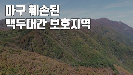 [자막뉴스] 마구 훼손된 백두대간 보호지역...관리 구멍 / YTN