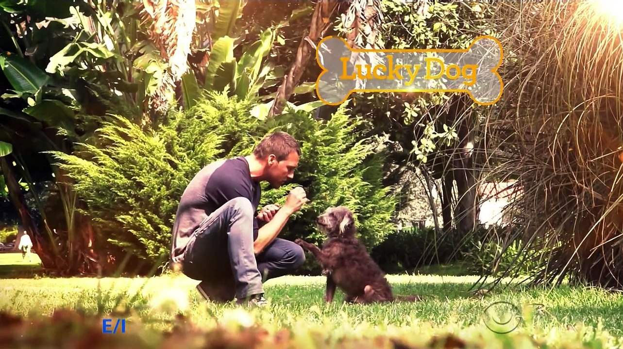 Lucky Dog S06E03 Zeus