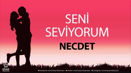 Seni Seviyorum NECDET - İsme Özel Aşk Şarkısı