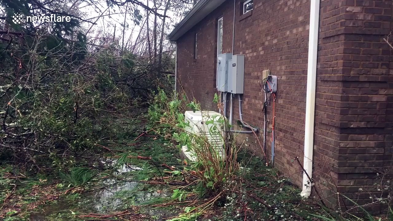 Panama City neighborhood littered with felled trees in aftermath of Michael