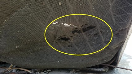 [단독] 인화 방지망 없는데도 '적합'...어이없는 소방 점검 / YTN