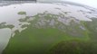 A Key Wildlife Area In Florida Is Vanishing Due To Rising Seas