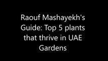 Raouf Mashayekh's Guide: Top 5 plants that thrive in UAE Gardens