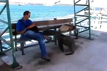 X만무료증정!33카지노 ☞ https://yes848.com ☜ 안전놀이터주소|예스카지노