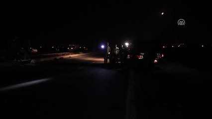 Hatay'da Araçların Çarptığı 13 Keçi Telef Oldu