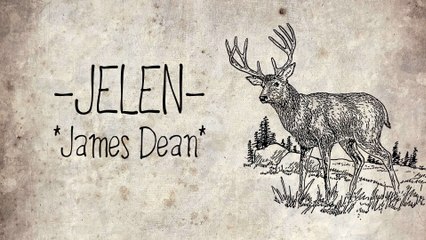 Jelen - James Dean
