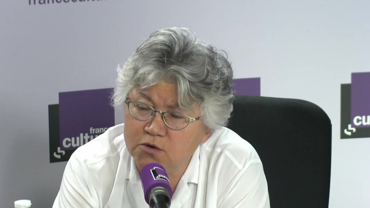 Dominique Meda : "Il faudrait s'occuper des problèmes identitaires qui restent lorsqu'on aura traité les autres problèmes"