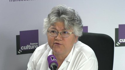 Dominique Meda : "Il y a une prise de conscience qu'il faudrait bifurquer radicalement"