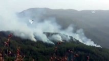 Orman yangını kontrol altına alındı - HATAY