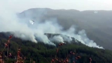 Orman yangını kontrol altına alındı - HATAY