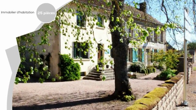 A vendre - Chambres d hotes ou gite - SAONE-ET-LOIRE BOURGOGNE (71490) - 25 pièces - 742m²