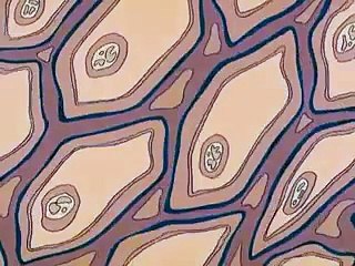 MIB The Series E07  The Symbiote Syndrome