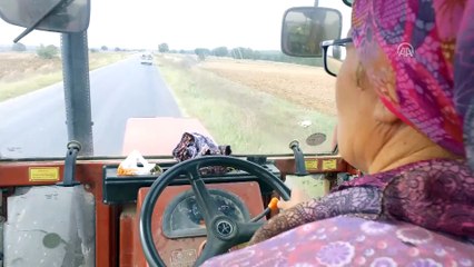 Çiftçi 'Feride Abla'nın azmi takdir topluyor (2) - KIRKLARELİ