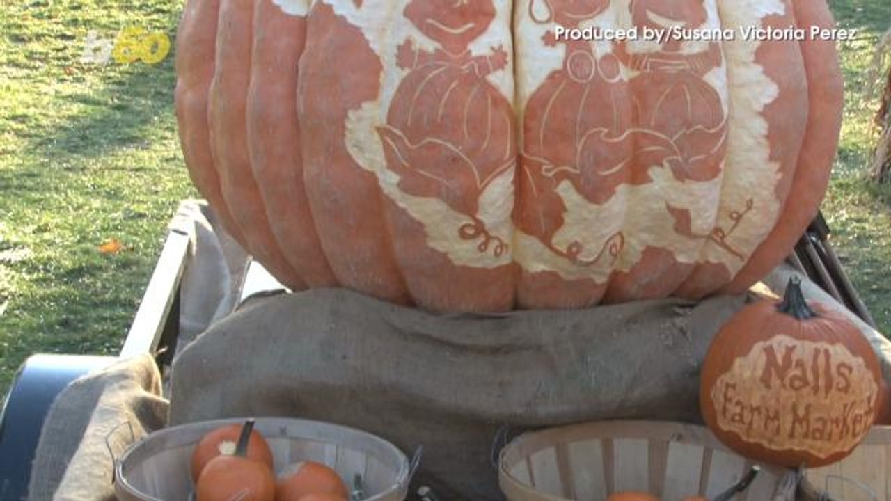 Stop Carved Pumpkins From Rotting With These 3 Simple Hacks