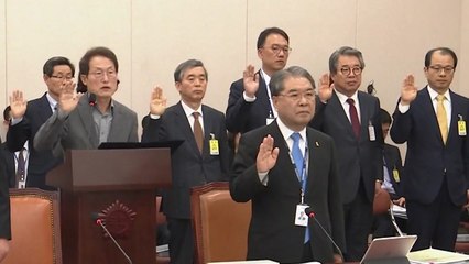 교육위 국감 '유치원 비리' 감사 문제 지적 / YTN