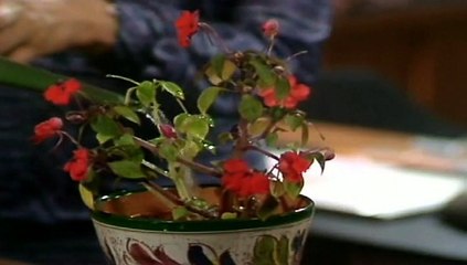 Mind Your Language  S02  E03  Brief Reencounter