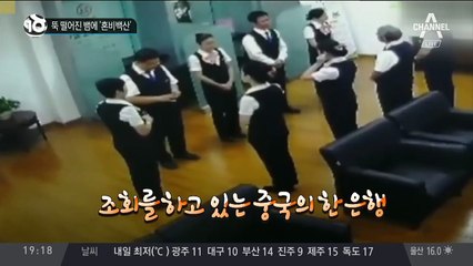 뚝 떨어진 뱀에 ‘혼비백산’