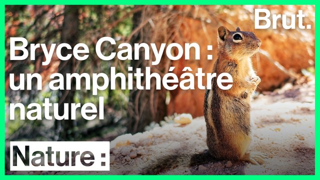 Le parc national Bryce Canyon est un immense amphithéâtre naturel